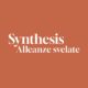 visual mostra d'arte synthesis